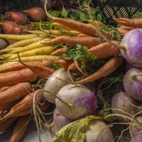 Root Crops