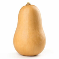 WALTHAM BUTTERNUT ? OP