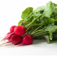 CHERRY BELLE ? OP