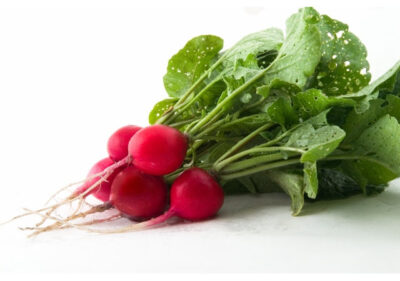 CHERRY BELLE ? OP