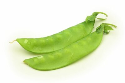 OREGON SUGAR POD II