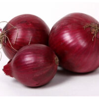 RED CREOLE ? OP