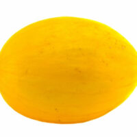 YELLOW CANARY ? OP