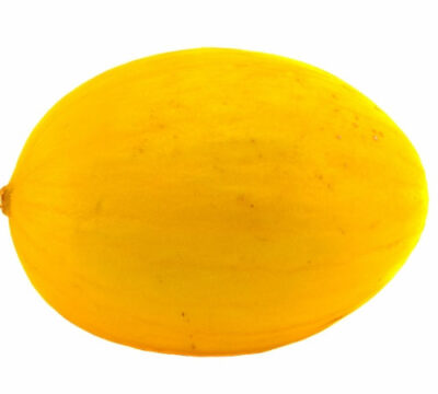 YELLOW CANARY ? OP